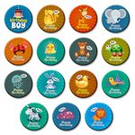 exciting Lives - Birthday Boy Party Badges Set Of 15 - Gift for Kids, Party School Celebration Colorful Birthday Badge Boys Teens Adults Party Birthday Pins Birthday Party Supplies