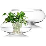 ZENFUN 2 Pack Glass Vase Bowl, 6"/ 