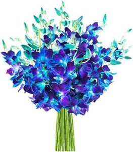 KaBloom PRIME NEXT DAY DELIVERY - Fall Collection - Exotic Blue Sapphire Orchid Bouquet of 20 Fresh Blue Dendrobium Orchids from Thailand. Gift for Birthday,Valentine, Mother’s Day Fresh Flowers