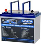 WEIZE 12V 