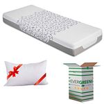 EVERGREENWEB - Orthopaedic Memory Foam Mattress 120x200, 20 cm high, with Removable and washable Cover, Hypoallergenic Fabric + 1 Cervical Bed Pillow