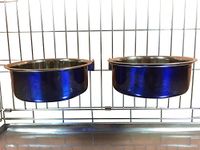 Ellie-Bo Pair of Dog Bowls For Crates, Cages or Pens and 3 Sizes (2.0Ltr Large, Blue)