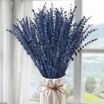 2 Bundles-Dried Blue Preserved Lavender Flowers Bouquet-15''-17" Blue Dried Flower for Home Wedding Shower Vase Centerpeice Baby Shower Décor, Aromatherapy, Fragrance, Blue Décor, Live Plant