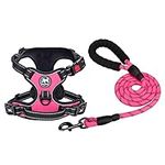 PoyPet Dog Harness and Leash Combo,