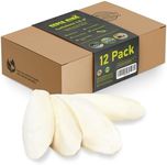 Sepia King - Medium - 100% Natural Calcium Supplement - Premium Cuttlebone Perfect for Birds, Tortoises, Snails, Reptiles - 12 Pack