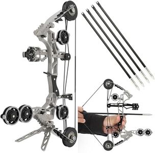 AMEYXGS 10.9inch Compound Bow Set Stainless Steel Includes 4/8 Arrows Bow Stabilizer Sight Rest Target Paper and Bow Stand (Black, 4 x Arrow and Bow Set)
