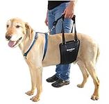 GINGERLEAD Dog Rear Support Sling Harness, M/LG Unisex with Cutout Fits Male & Female Dogs. Padded Hip Lifting Aid Helps Old Pets Walk, K9s Recover from TPLO Surgery. Integrated Leash. Made in U.S.A.