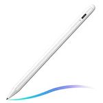 Stylus Pen for iPad(2022-2018) with