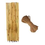 Bamboo Sticks for Plants Support (Set of 20) 2.2 Feet, 67cm Used to Support Climbers Money Plant & Other Saplings