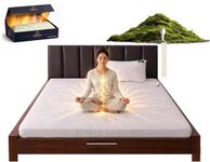 Zero Volt Therapy Earthing Bedsheet | Pure Silver Fibre + Organic Cotton Side Stitching | Grounding Sheet for Better Sleep & Body Voltage Reduction | Complete Kit | Single & King