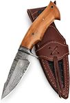 BIGCAT ROAR Handmade Damascus Hunting Knife - Bushcraft Fixed Blade Hunting Knife with Sheath and Olive Wood Handle - 10″ EDC Skinning Knife - Predator Hunter