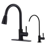 Black Kitchen Faucet and Water Filt