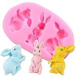 3 Cavity Mini Rabbit Bunny Animal S