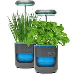 Pico Planter Indoor Garden with Plant Grow Light. This Herb Growing Kit is The Perfect Self Watering Planter. an Indoor Garden for Your Home and Office. Grow with Soil or Soil-Less Hydroponics.