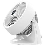 Vornado Fan 660