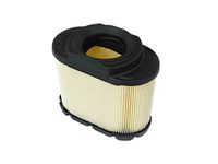 Briggs and Stratton Briggs & Stratton 593240 Lawn & Garden Equipment Engine Air Filter Genuine Equipment Manufacturer (OEM) Part