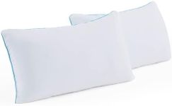 Linenspa Shredded Memory Foam 2 Pac
