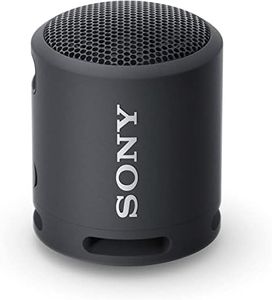 Sony SRSXB