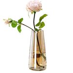 FANTESTICRYAN Ins Modern Glass Vase Irised Crystal Clear Glass Vase for Home Office Decor