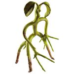 The Noble Collection Fantastic Beasts Bendable Bowtruckle - 8in (20cm) Posable Collectable Doll Figure - Film Set Movie Props - Gifts for Family, Friends & Bowtruckle Fans