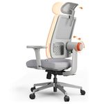 DROGO Ergonomic Office Chair for Work from Home, High Back Computer Chair with Adaptive Lumbar Support, 4D Armrest, Recline, Adjustable Height & Headrest, Mesh Chair for Office/Home (Grey)