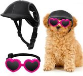 Dog Helmet