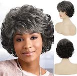 Sallcks Short Curly Grey Wigs for W