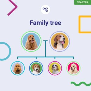 Koko Genetics Dog DNA Test Kit – Breed & Health Screening