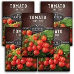 Survival Garden Seeds - Tiny Tim Tomato Seed for Planting - Packet with Instructions to Plant & Grow Tiny Tomatoes in Your Home Vegetable Garden - Non-GMO Heirloom Variety- 5 pack - Tomato Garden Seed