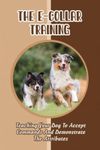 The E-Collar Training: Teaching You