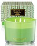 96NORTH Luxury Eucalyptus & Sage Soy Candle | Large 3 Wick Jar Candle | Up to 50 Hours Burning Time | 100% Natural Soy Wax | Housewarming Gift for Men and Women