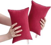 BEDSUM 2 Pack Tiny Pillows, 11"x7" Microfiber Mini Pillows for Travel, Dogs, Cats, Soft and Machine Washable Small Pillows for Neck, Wrist, and Knee Comfort, Red