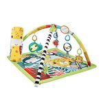 Fisher-price Baby Gyms