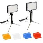 FUDESY 2 Packs LED Video Light Kit, Portable Photography Continuous Table Top Lighting with Color Filters, 5500K 60 LED Panel Light for Photo Video Studio Conference Lighting Game Streaming YouTube