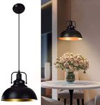 Depuley Vintage Pendant Light, Blac