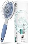 Hair Brush for Thick Hair with Ioni