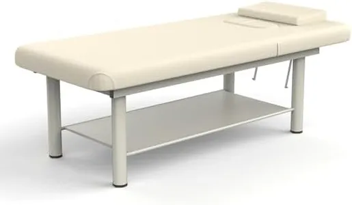 Heavy Duty Professional Stationary Massage Bed Wide Stationary Massage Table with Backrest for Treatment Table Physical Therapy Table Spa Facial Bed, Metal Frame PU Leather (Integral Structure)