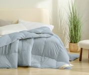 baisihan Queen Down Comforter,650 F