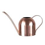 Panow 15oz 450ml Rose Gold Watering Can, Mini House Watering Can for Indoor Plants Flowers Bonsai Desk Office Stainless Steel Small Watering Can with Long Spout