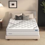 Queen Mattresses, DIGLANT 14 Inch Plush Hybrid Mattress, Queen Size Memory Foam Mattresses with Individually Pocketed Coils Innerspring, Motion Isolation & Back Pain Relief, Queen Mattress in Box