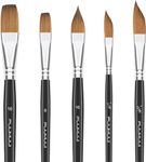 Sable Watercolour Brushes Professional-5PCS Kolinsky Sable Brush Set Variety Shapes with Flat, Detail, Dagger Stripper, Cat's Tongue Oval Wash Perfect for Watercolour Acrylic Gouache Inks Painting