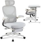 FLEXISPOT Foldex Ergonomic Office C