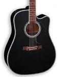 Takamine E