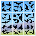 Hianjoo 37 Pieces Large Size Anti-Collision Window Clings Bird Stickers Alert Bird Reusable Window Decals for Preventing People and Bird Strikes on Window Glass Decals Alert Bird Stickers, Black