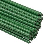 Woodside Green Garden Plant Stakes, Coated Steel Shrub/Vine Support Spikes, Pack of 50, 8mm x 60cm