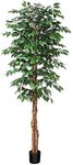 SOGUYI 210cm Artificial Ficus Tree 