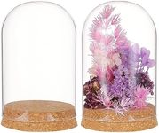 BENECREAT 2 Set Glass Display Dome with Cork Base, 8x11.5cm Tabletop Centerpiece Cloche Bell Jar for Flower Plants, Specimens, Crafts Decorations, Inner Diameter: 76mm