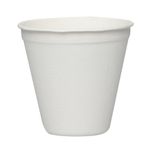 ECOWARE® 100% Natural,Biodegradable, Compostable, Ecofriendly, Safe & Hygienic Disposable 250 ML Cup - Medium (Pack of 50 Cups)