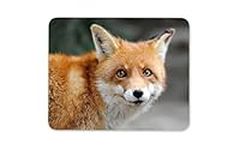 Destination Vinyl ltd Beautiful Ginger Fox Mouse Mat Pad - Wild Animal Mum Fun PC Computer #8584