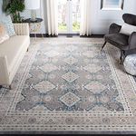 Safavieh Sofia Collection SOF366B Vintage Light Grey and Beige Distressed Area Rug (5'1 x 7'7)